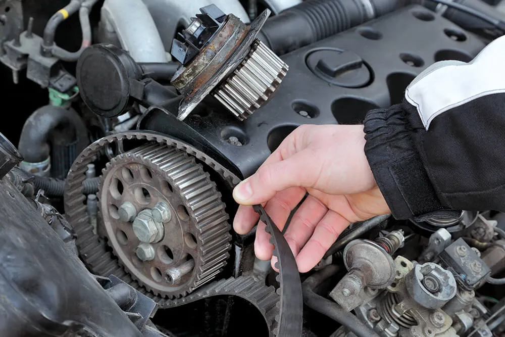 Engine Lifeline: The Importance of Timing Belt and Timing Chain Maintenance